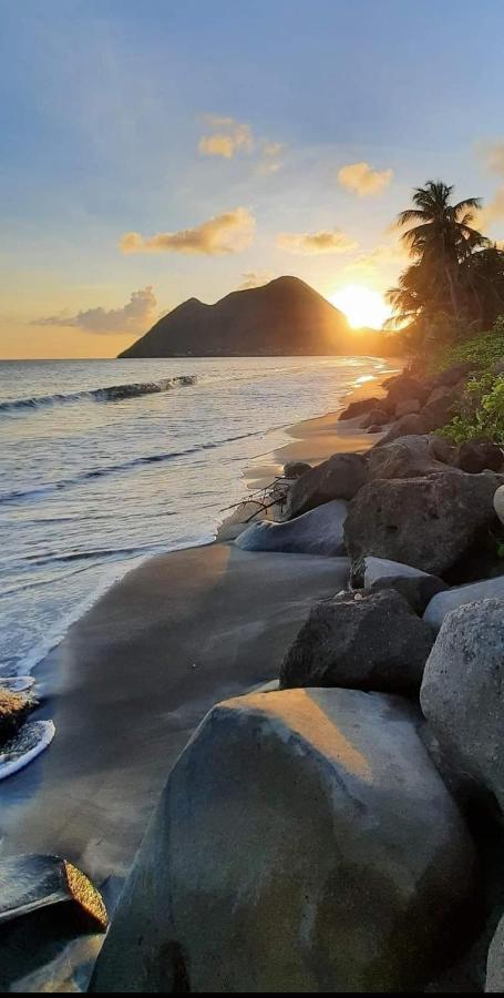Ti'Bakoua A Sainte-Luce Plage Et Piscine Экстерьер фото