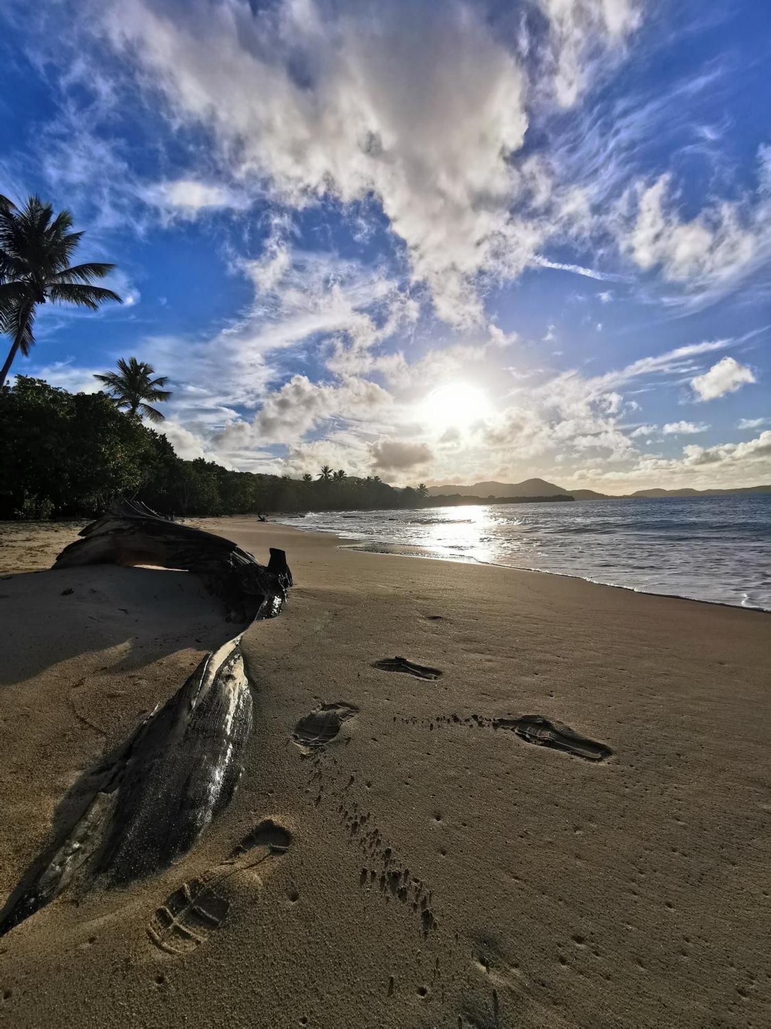 Ti'Bakoua A Sainte-Luce Plage Et Piscine Экстерьер фото