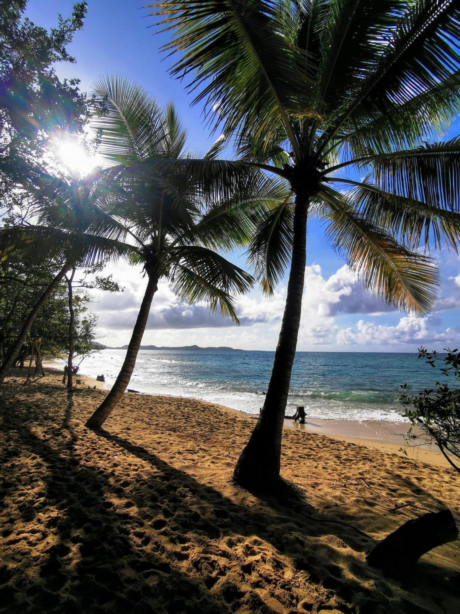 Ti'Bakoua A Sainte-Luce Plage Et Piscine Экстерьер фото